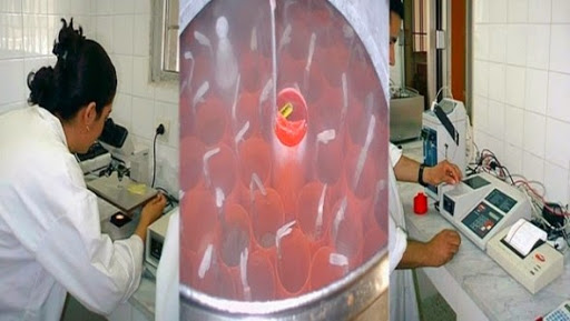 Tiaret : le centre d’insémination artificielle, un outil pour le développement des races animalières