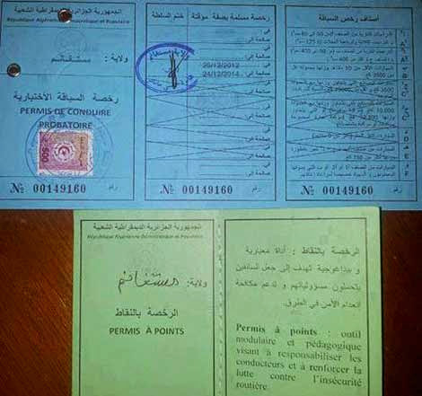 Tout ce que vous devez savoir sur le nouveau document, Le permis à points arrive fin mai