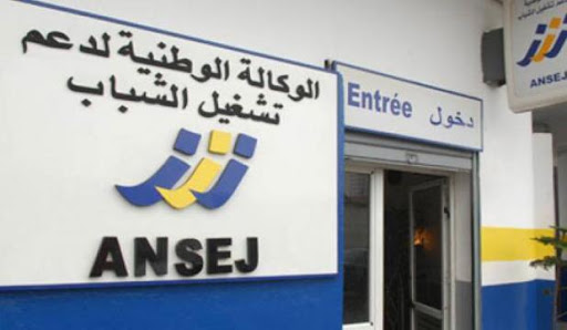 Transport de marchandises, Des projets Ansej en faillite