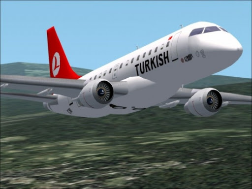 Turkish Airlines lance cette année des vols entre Istanbul et quatre villes algériennes (responsable)