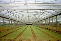 Une dizaine de projets de partenariats algéro-polonais en cours d’études