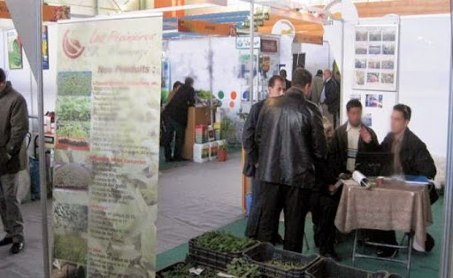 Une quarantaine d&rsquo;entreprises nationales et étrangères au salon de l’emploi à Oran