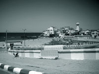 4e Salon national de l’environnement et des clubs verts dimanche à Boumerdès