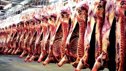 Disponibilité de la viande durant le mois de Ramadhan, La SGP Proda rassure le consommateur