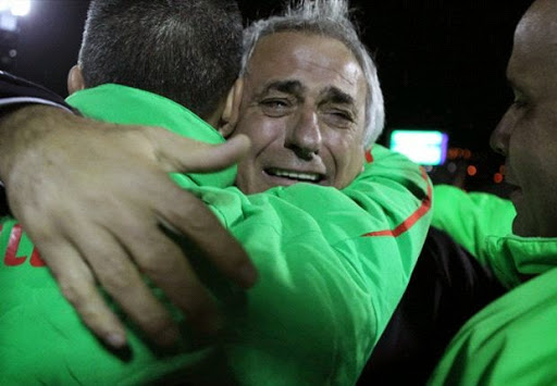 EN : Halilhodzic apprécie l’enthousiasme autour des fennecs