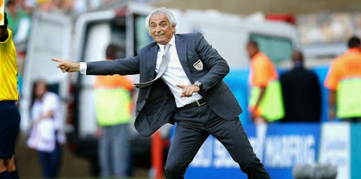 EN – Halilhodzic : «Personne ne peut faire pression sur moi»