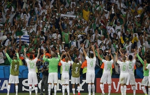 EN : Les Verts loin d’être euphoriques