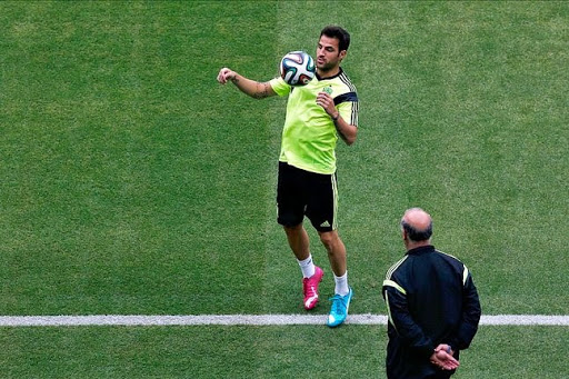 Espagne Fabregas-Del Bosque, le clash !