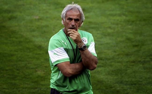 Halilhodzic : «Nous sommes prêts»