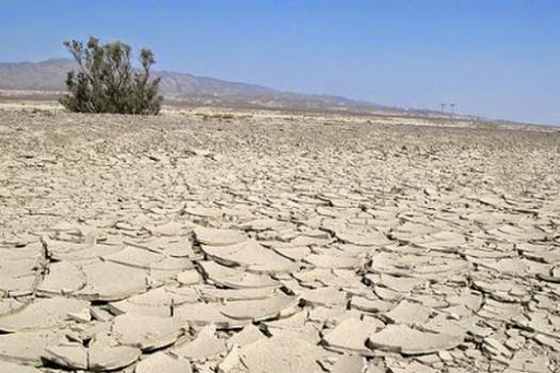 Journée mondiale de lutte contre la désertification, L’Algérie s’engage fermement dans la lutte