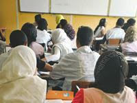 La formation des enseignants ou la tristesse de notre école