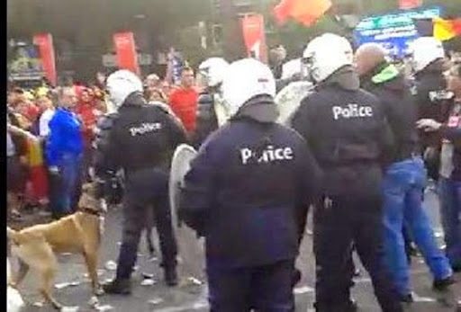 La police a dû séparer les supporters belges et algériens à Charleroi