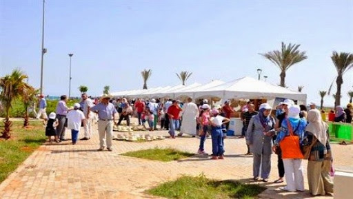 La saison estivale officiellement lancée à Alger