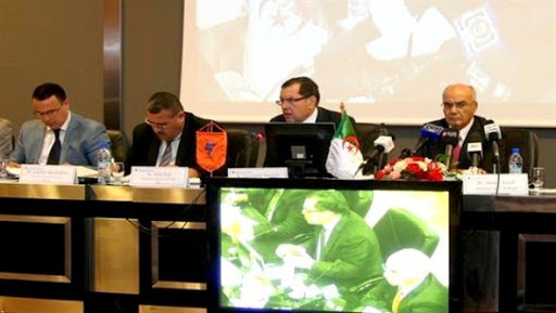 La situation financière du groupe Sonelgaz est restée « fragile » en 2013