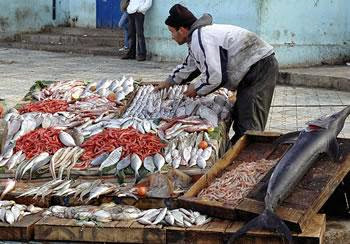 Le marché et les prix du poisson examinés par l&rsquo;ugcaa : Un matériel de pêche vétuste et des dettes lourdes