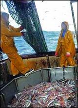 Les pêcheurs algériens doivent diversifier leurs sources de revenus, face au recul de la production