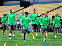 Les Verts veulent refaire le coup de 1982