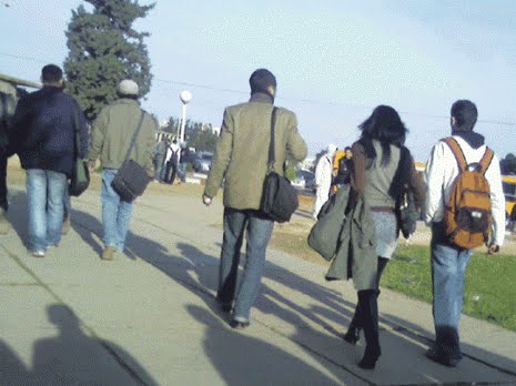 Plaidoyer pour une professionnalisation des diplômés (séminaire)