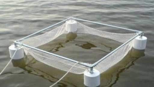 Projet d’une closerie à Oran pour répondre aux besoins de la formation en aquaculture