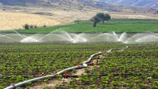 Ressources en eau: appel à l’utilisation de systèmes économisant l’eau en irrigation