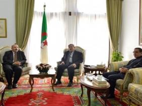 Révision constitutionnelle : Ouyahia a reçu Zerouki (FNL) et Cherif Kais (juriste)