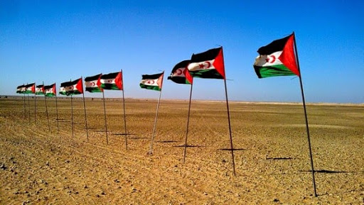 Sahara Occidental: plusieurs sociétés impliquées dans le pillage des ressources naturelles (organisation)