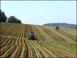 Terres agricoles: pas moins de 6 hectares détournées quotidiennement de leur vocation (UNPA)