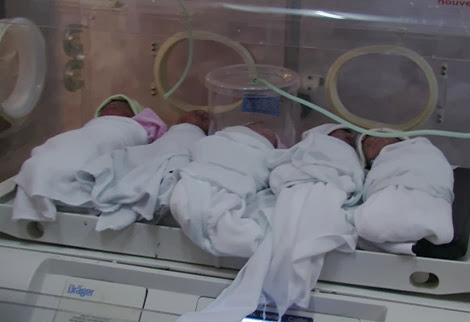 Une femme de 29 ans donne naissance à des quintuplés à Alger