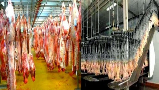 Viandes: le problème de l&rsquo;offre ne se posera pas pendant le Ramadhan (Proda)