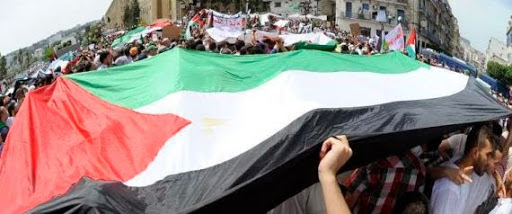 A Alger, des milliers de manifestants pour une marche entravée pour Gaza