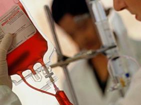 Algérie:lancement d’une campagne de collecte de sang au profit des Ghazaouis (CRA)