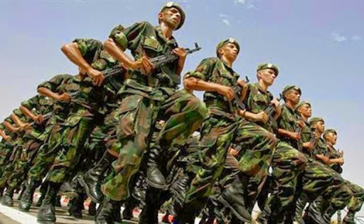 APN: adoption à la majorité du projet de loi relatif au service national