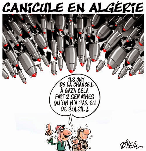 Canicule en Algérie