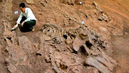 Découverte d’une nouvelle espèce de dinosaure entièrement couvert de plumes