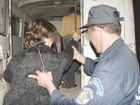 Descente de police au cabaret : Rotana à Oran 123 individus arrêtés