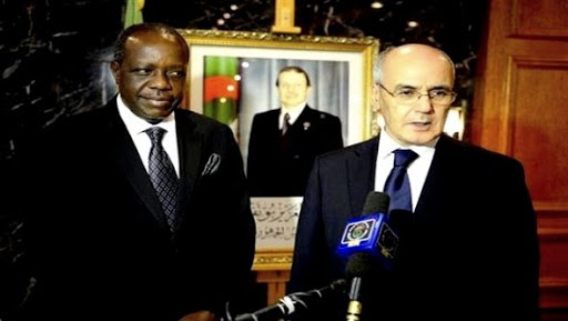 Energie: trois projets entre l&rsquo;Algérie et la Tanzanie seront concrétisés dans les prochains mois (ministre)