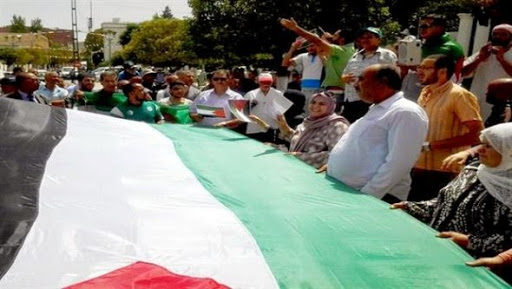 Est du pays : marches et rassemblements de soutien aux habitants de Ghaza