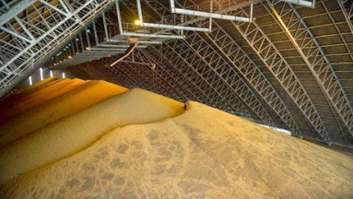 FAO: Baisse continue des cours mondiaux alimentaires, abondance de l’offre