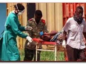 Fièvre Ebola : plus de 600 morts après 68 nouveaux décès