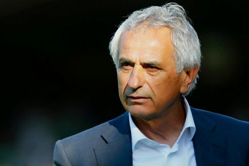 Halilhodzic lâche Brixi