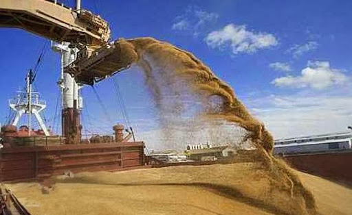 Importation céréalière, L’Algérie a déboursé 970 millions de dollars en 5 mois