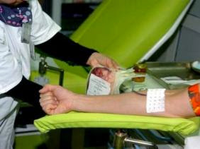 Lancement prochain d&rsquo;une campagne de collecte de sang au profit des Ghazaouis