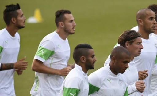 Le modèle importateur « gagnant » de l’EN se répand en Ligue 1 professionnelle