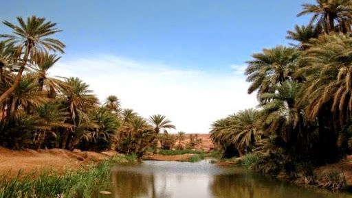 Les oasis de Moghrar en quête de davantage d&rsquo;intérêt et de protection