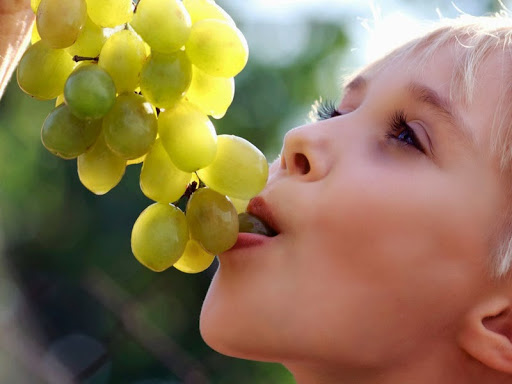 Manger du raisin pour ne plus aller chez le dentiste
