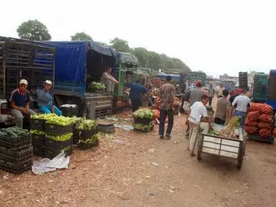marche de gros d’ « el kerma » : des quintaux de fruits et légumes voués aux ordures