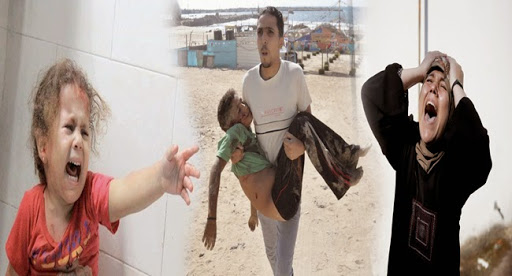 plus de 600 morts, 4000 blesses et 100 000 deplaces : gaza pleure ses morts