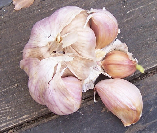 Pourquoi prendre de l’ail à jeun le matin