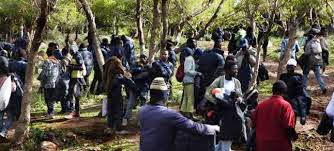 Prise en charge des migrants subsahariens : Les walis instruits