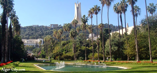 Protection des forêts : Comment épargner alger des feux